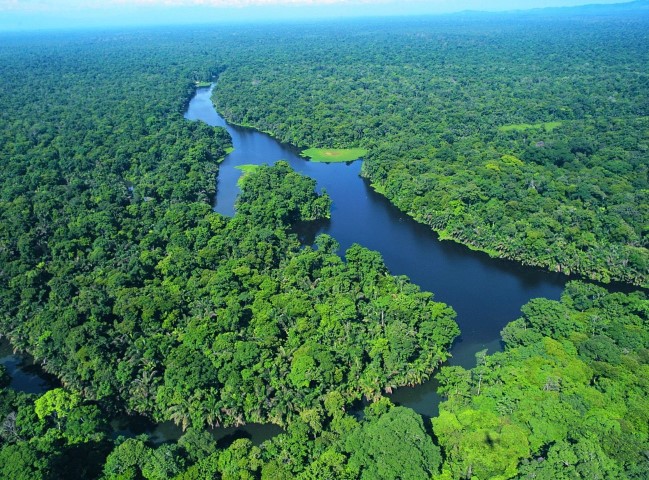 Tortuguero (16)