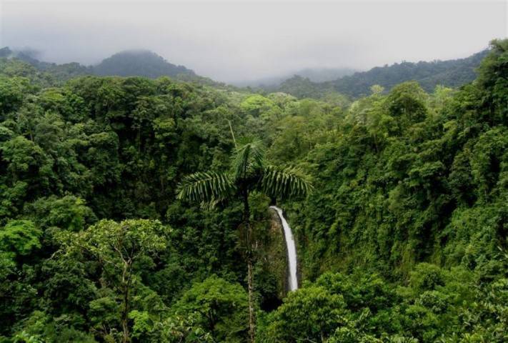 braulio carillo cascade